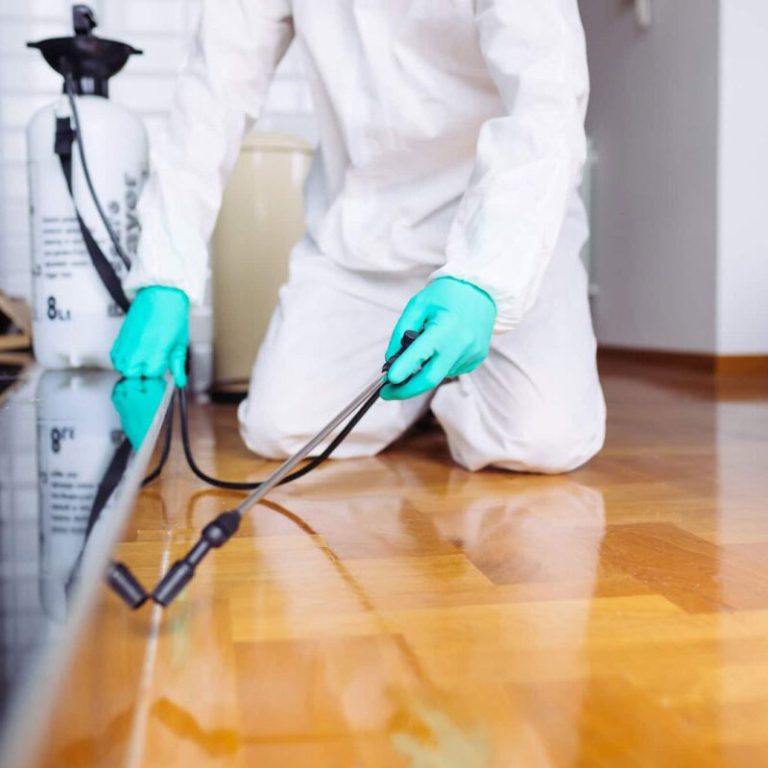 SMITH'S PEST CONTROL